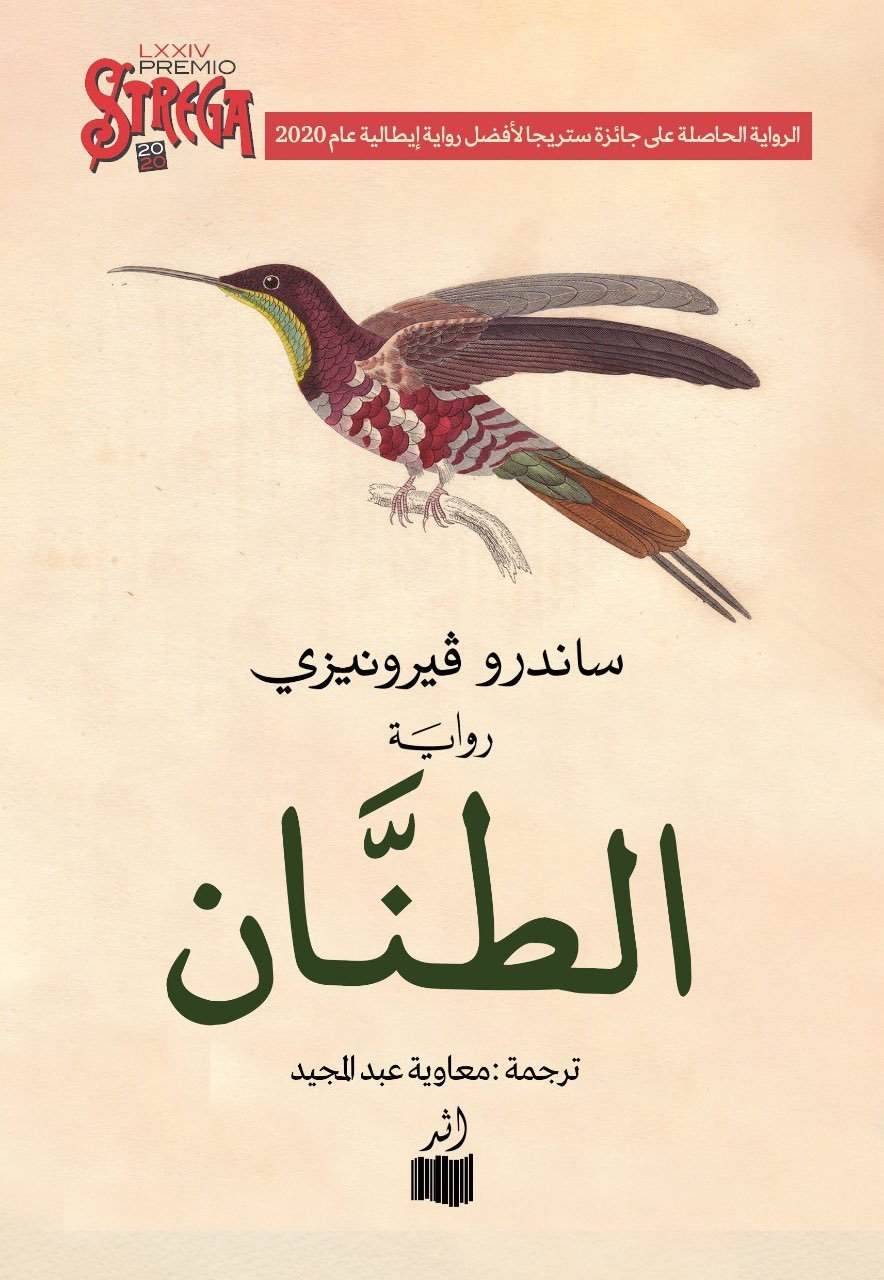 طائر الطنان 2013